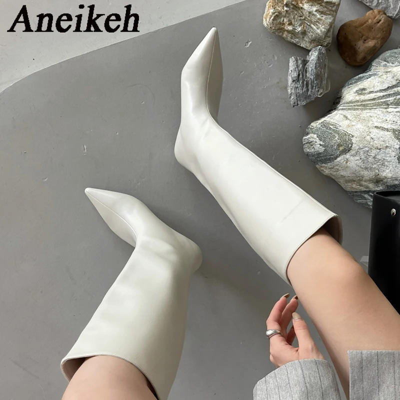 Women'S Fashion Knee High Boots - Aneikeh 2027 Fashion Sexy Pointed Low