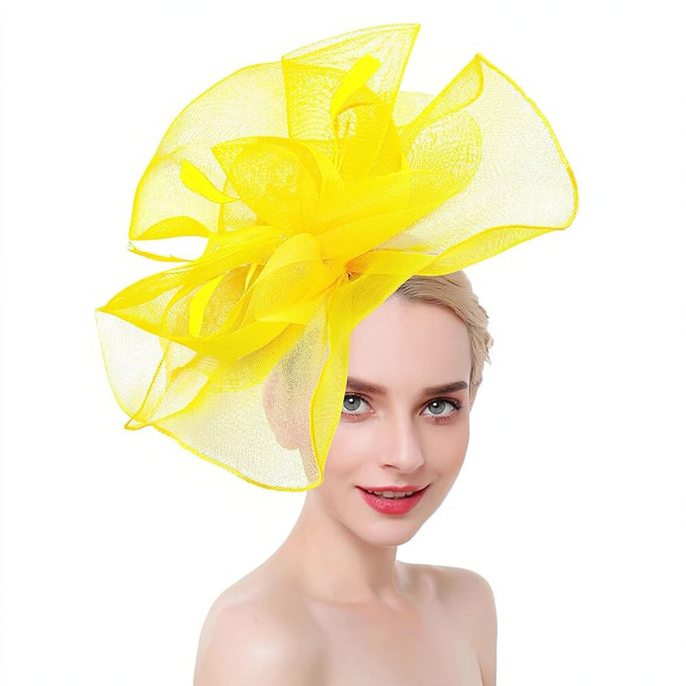 Retro Mesh Feather Fascinator  - Women'S Fashion Kentucky Derby recension och pris