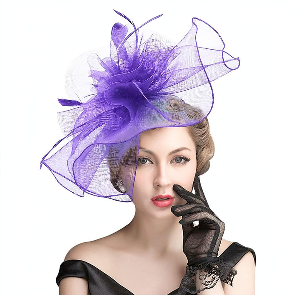 Retro Mesh Feather Fascinator  - Women'S Fashion Kentucky Derby recension och pris